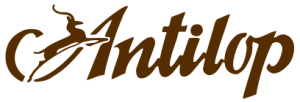 Antilop